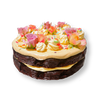 CHOCOLATE MALT SPRINKLE CAKE - SMALL (6 Inch • 2 layer • serves 4)Product Image of Cake or Cake Kit